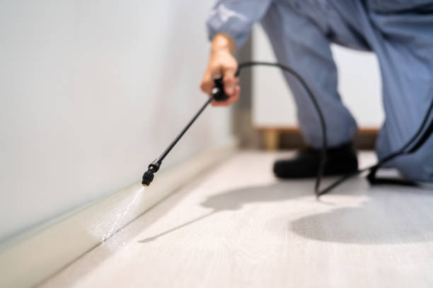 Licensed Pest Control service in Hayti, PA - Show Me Pest Control